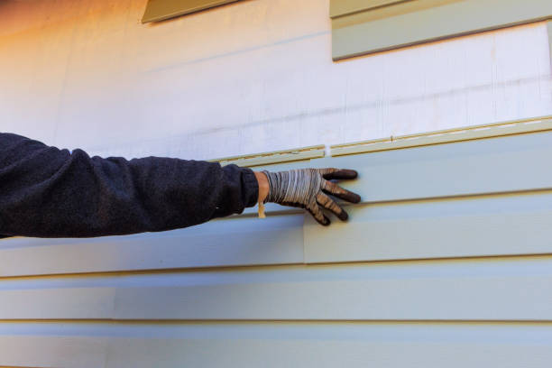 Affordable Siding Repair and Maintenance Services in Troup, TX